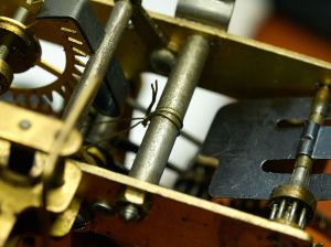 OLYMPUS DIGITAL CAMERA