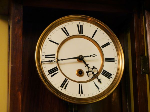 Vienna Regulator dial