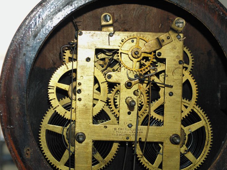 Back of the movement