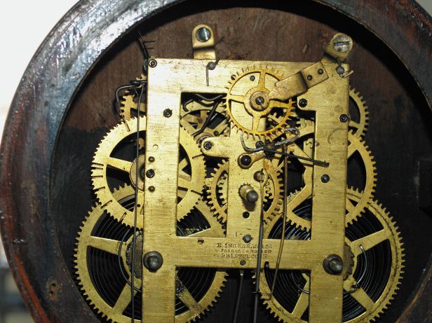 Back of the movement