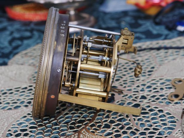 Side view of movement