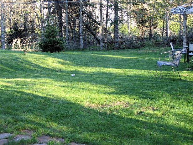 The grass is always greener....