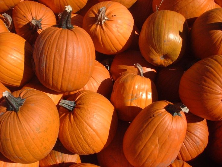 A display of pumpkins
