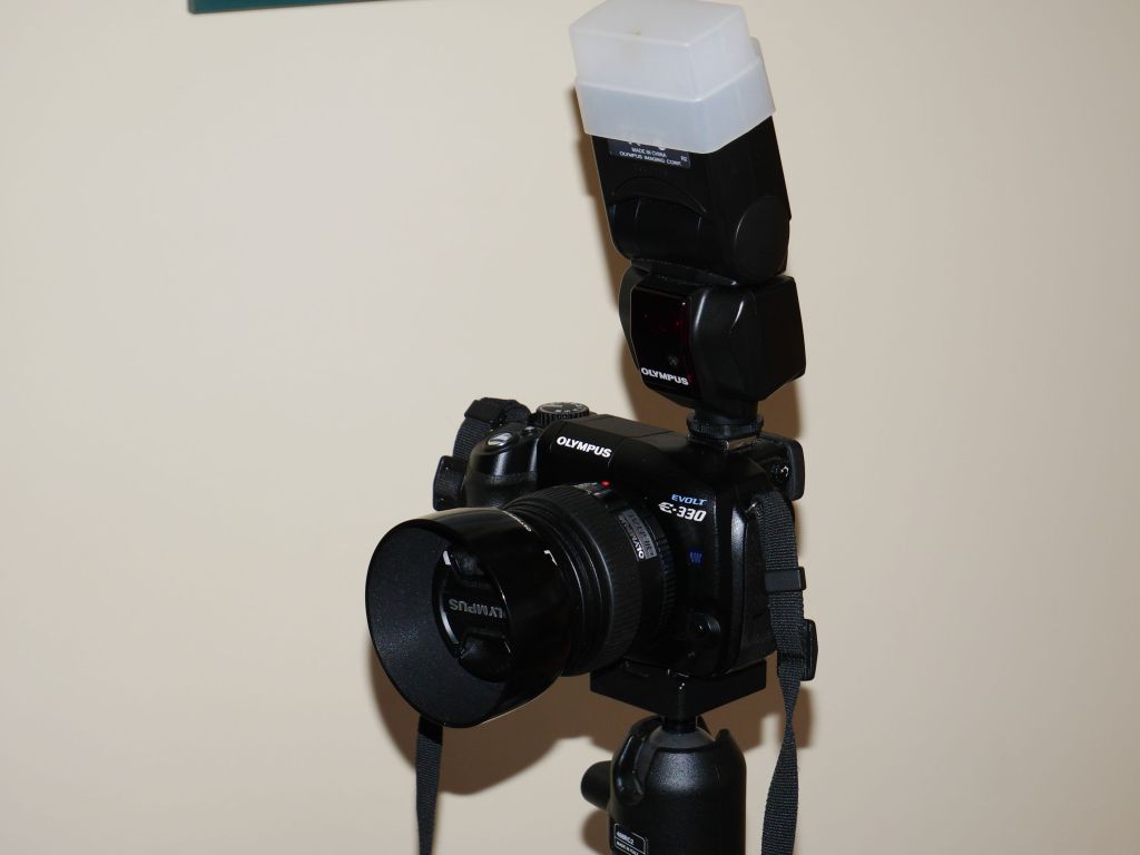 E330 with Olympus flash