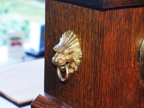 Lions head on case side