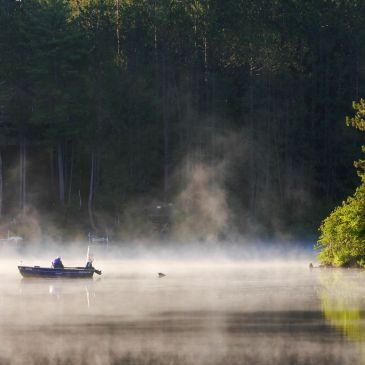 Early morning fisher
