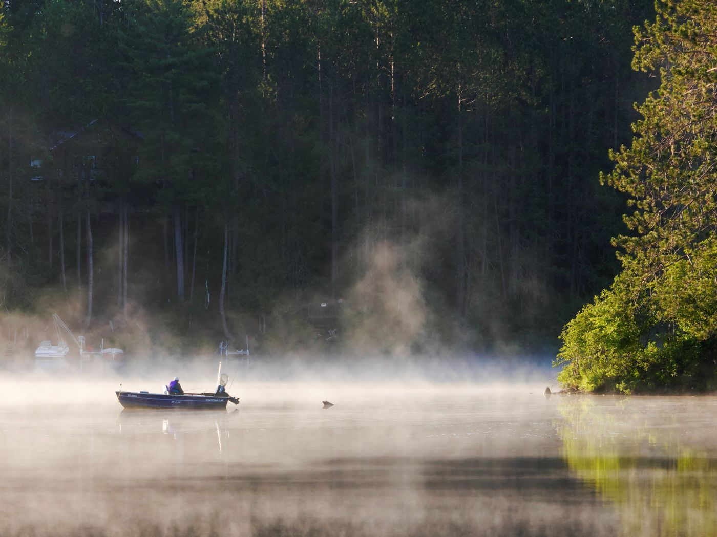 Early morning fisher