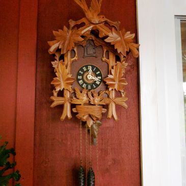 Dave's cuckoo clock