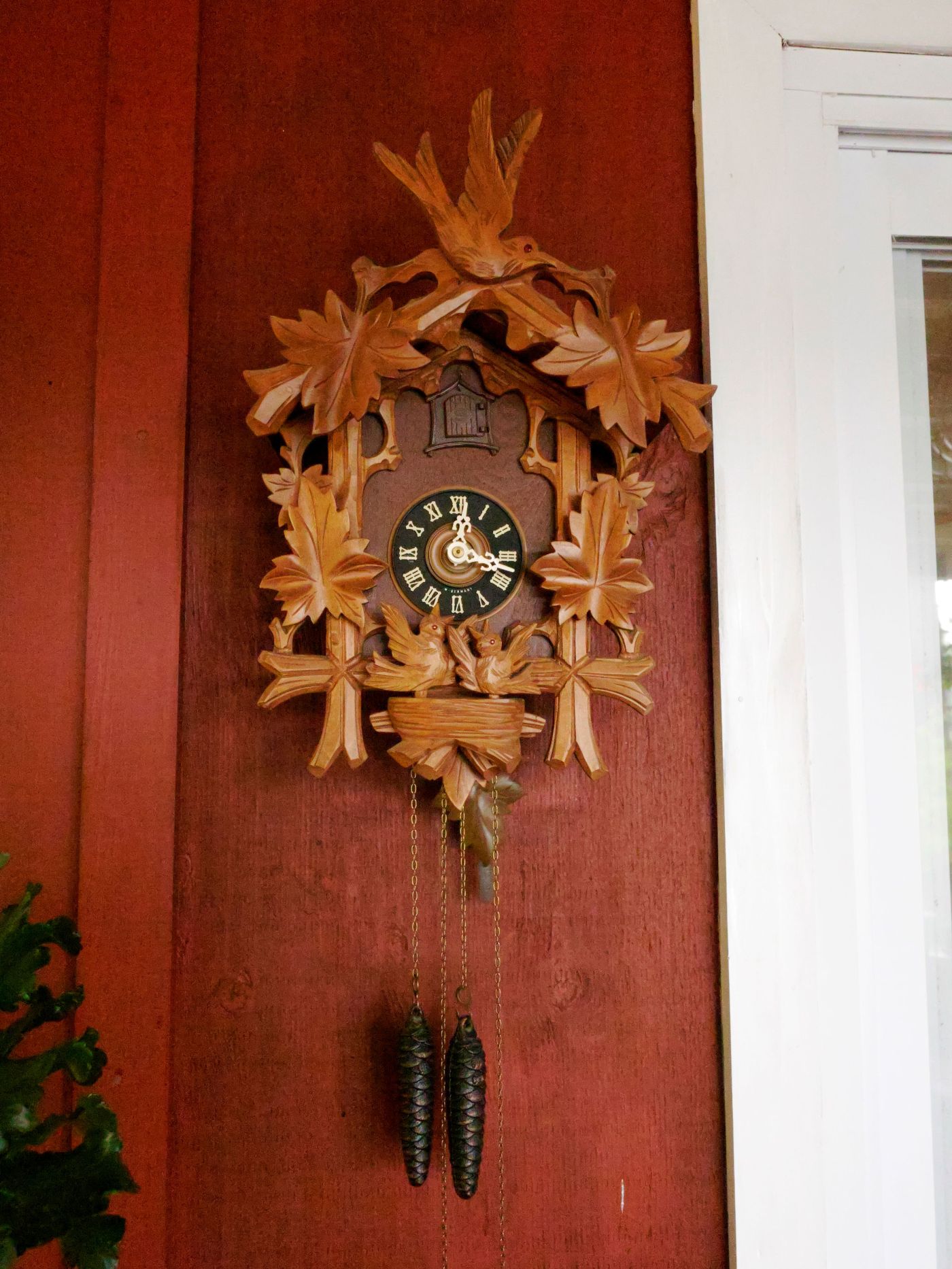 Dave's cuckoo clock