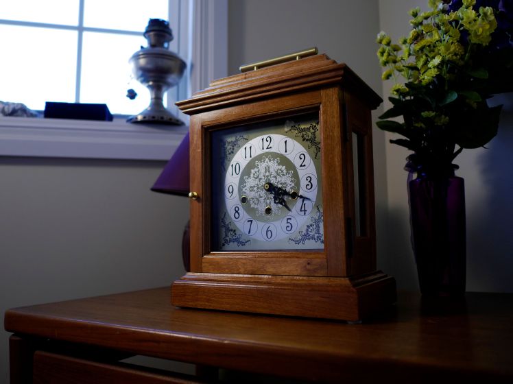 Schatz W3 in a custom made case