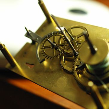 Between the plates Vienna Regulator