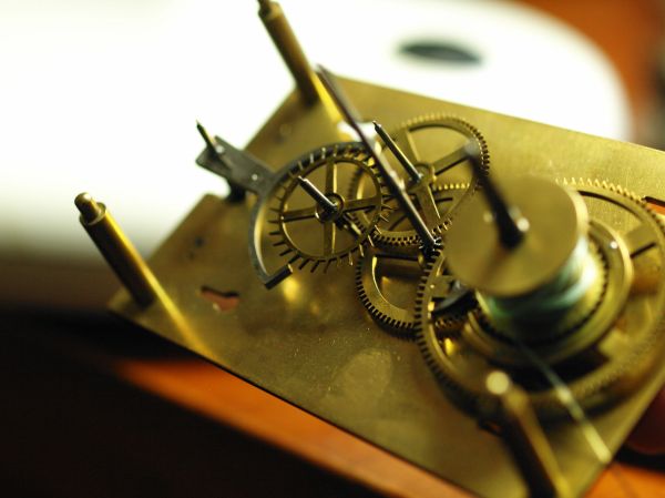 Between the plates Vienna Regulator