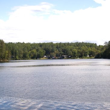 the lake