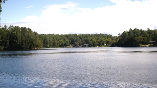 the lake